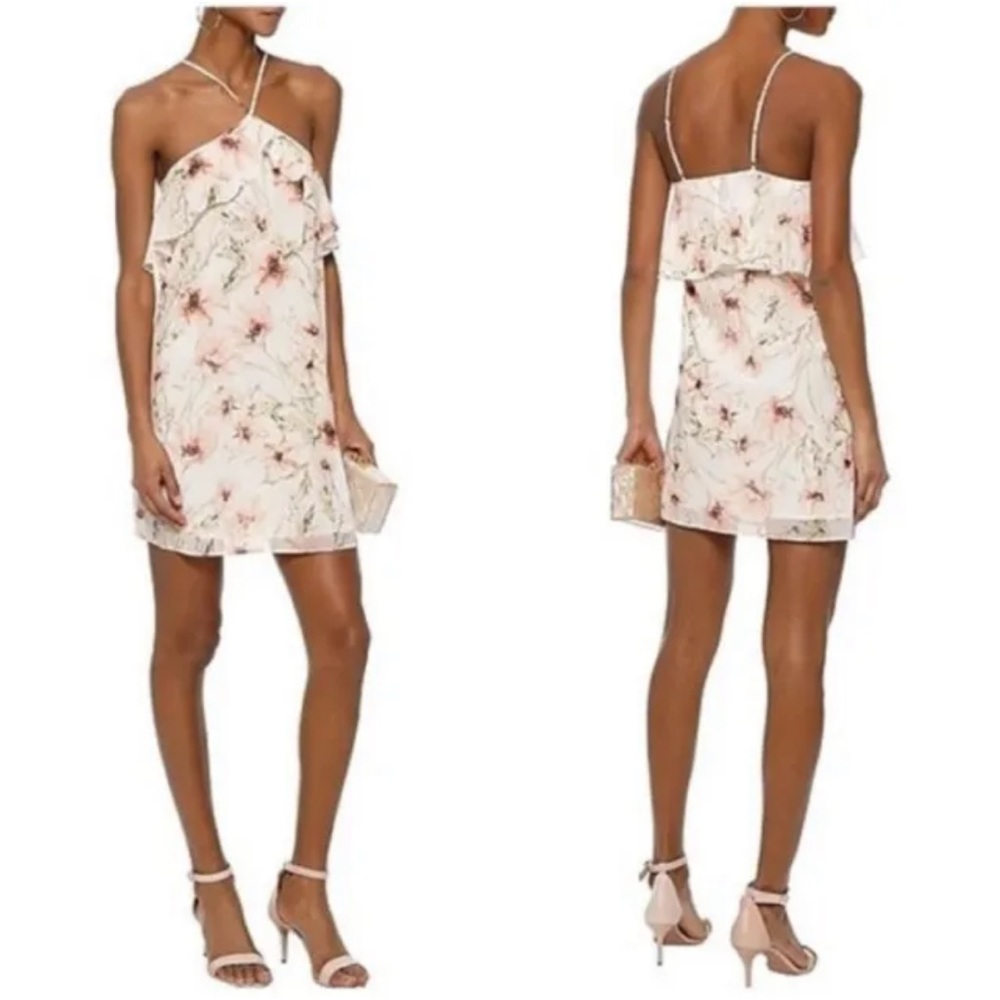 NWT Haute Hippie Floral Dress Size Small
